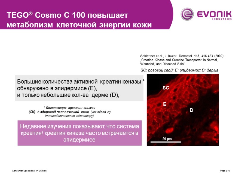 Consumer Specialties, 1st version Page | 10 Schlattner et al., J. Invest. Dermatol. 118,